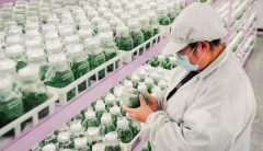 高产优良品种新增推广面0万亩以上