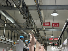 从到安心肉的全流程检疫